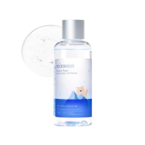 Mixsoon Glacier Water Hyaluronic Acid Serum