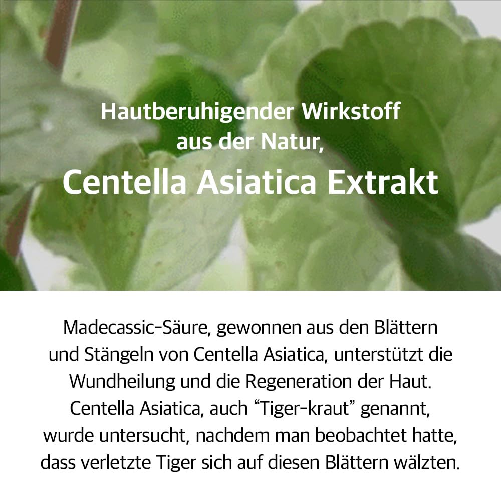 Mixsoon Soondy Centella Asiatica Essence - Image 7