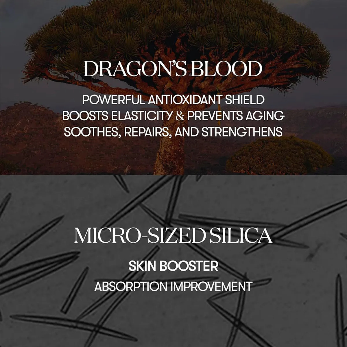 Vt Cosmetics Red Booster Reedle Shot 100 - Combate Arrugas - Image 8